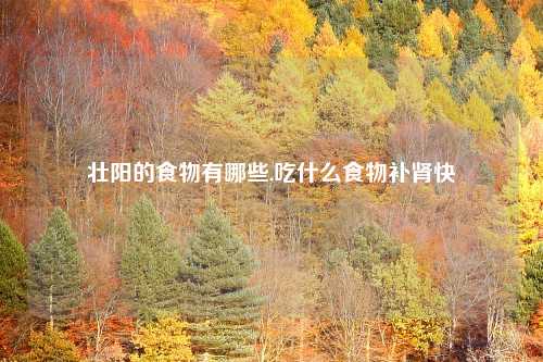 壮阳的食物有哪些,吃什么食物补肾快