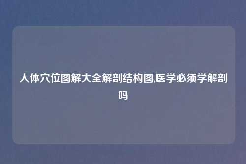人体穴位图解大全解剖结构图,医学必须学解剖吗