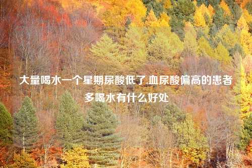 大量喝水一个星期尿酸低了,血尿酸偏高的患者多喝水有什么好处