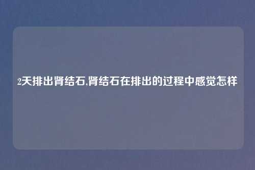 2天排出肾结石,肾结石在排出的过程中感觉怎样
