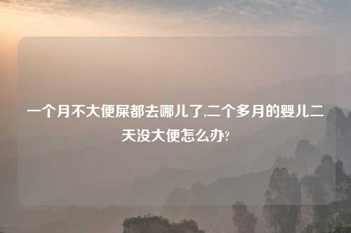 一个月不大便屎都去哪儿了,二个多月的婴儿二天没大便怎么办?