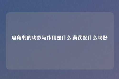 皂角刺的功效与作用是什么,黄芪配什么喝好
