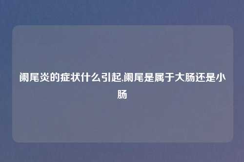 阑尾炎的症状什么引起,阑尾是属于大肠还是小肠