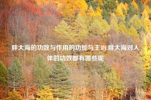 胖大海的功效与作用的功能与主治,胖大海对人体的功效都有哪些呢
