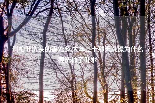侧柏叶洗头的害处多,大年三十那天洗澡为什么要洗柚子叶水