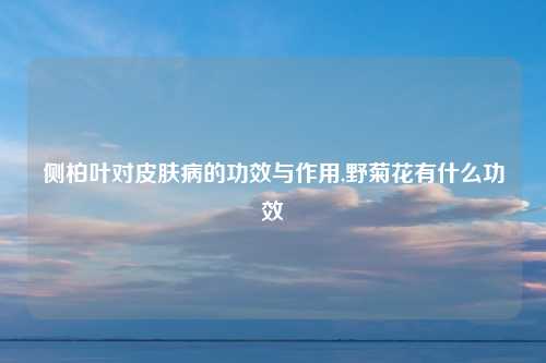 侧柏叶对皮肤病的功效与作用,野菊花有什么功效