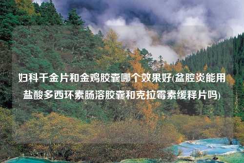 妇科千金片和金鸡胶囊哪个效果好(盆腔炎能用盐酸多西环素肠溶胶囊和克拉霉素缓释片吗)