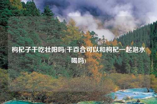 枸杞子干吃壮阳吗(干百合可以和枸杞一起泡水喝吗)