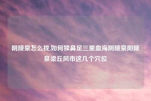 阴陵泉怎么找,如何犊鼻足三里血海阴陵泉阳陵泉梁丘风市这几个穴位