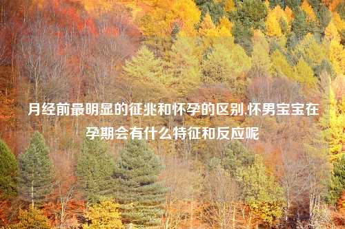 月经前最明显的征兆和怀孕的区别,怀男宝宝在孕期会有什么特征和反应呢