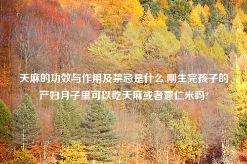 天麻的功效与作用及禁忌是什么,刚生完孩子的产妇月子里可以吃天麻或者薏仁米吗?