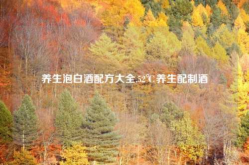 养生泡白酒配方大全,52℃养生配制酒