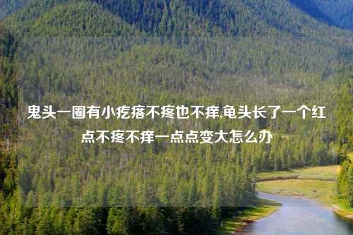 鬼头一圈有小疙瘩不疼也不痒,龟头长了一个红点不疼不痒一点点变大怎么办