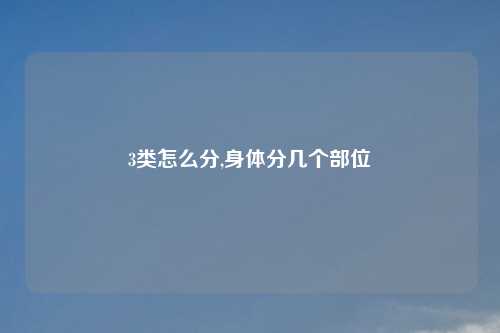3类怎么分,身体分几个部位