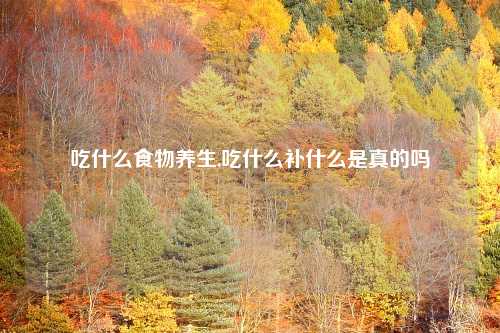 吃什么食物养生,吃什么补什么是真的吗