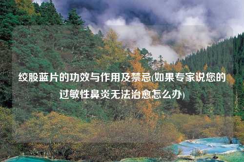 绞股蓝片的功效与作用及禁忌(如果专家说您的过敏性鼻炎无法治愈怎么办)