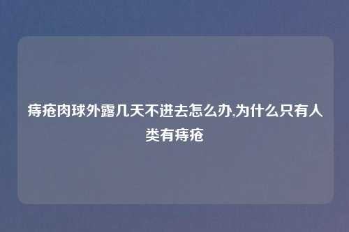痔疮肉球外露几天不进去怎么办,为什么只有人类有痔疮