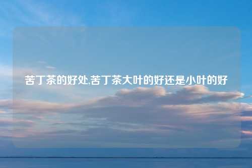 苦丁茶的好处,苦丁茶大叶的好还是小叶的好