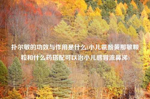 扑尔敏的功效与作用是什么(小儿氨酚黄那敏颗粒和什么药搭配可以治小儿感冒流鼻涕)