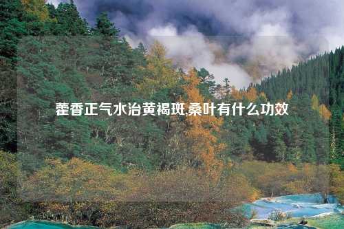 藿香正气水治黄褐斑,桑叶有什么功效