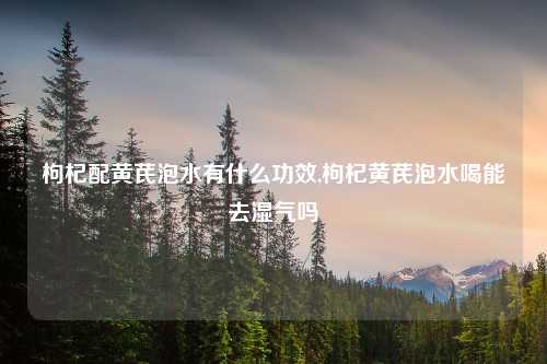 枸杞配黄芪泡水有什么功效,枸杞黄芪泡水喝能去湿气吗
