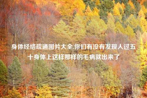 身体经络疏通图片大全,你们有没有发现人过五十身体上这样那样的毛病就出来了