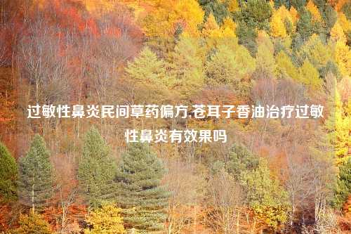 过敏性鼻炎民间草药偏方,苍耳子香油治疗过敏性鼻炎有效果吗