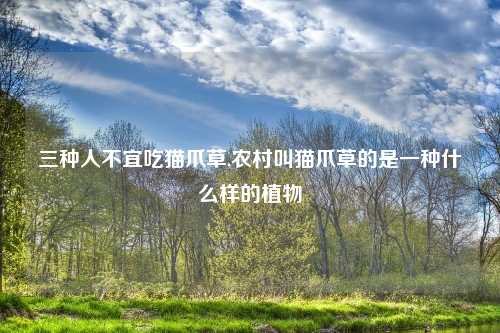 三种人不宜吃猫爪草,农村叫猫爪草的是一种什么样的植物