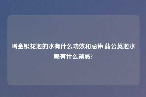 喝金银花泡的水有什么功效和忌讳,蒲公英泡水喝有什么禁忌?