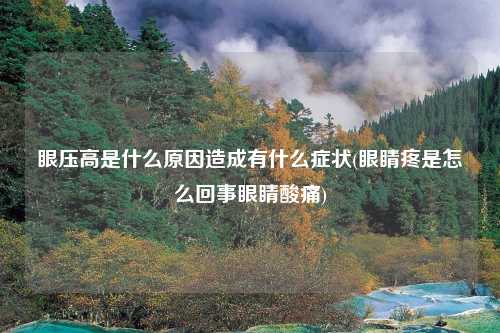 眼压高是什么原因造成有什么症状(眼睛疼是怎么回事眼睛酸痛)