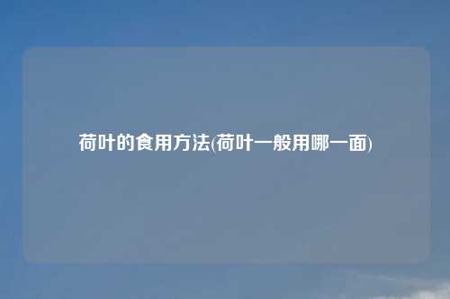 荷叶的食用方法(荷叶一般用哪一面)