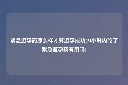 紧急避孕药怎么样才算避孕成功(24小时内吃了紧急避孕药有用吗)
