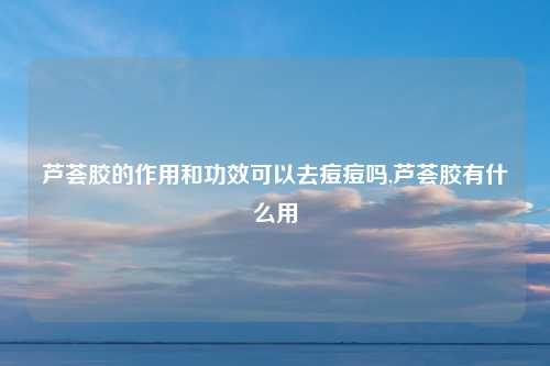 芦荟胶的作用和功效可以去痘痘吗,芦荟胶有什么用