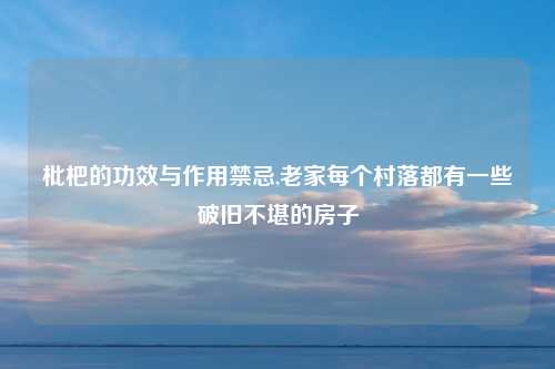 枇杷的功效与作用禁忌,老家每个村落都有一些破旧不堪的房子