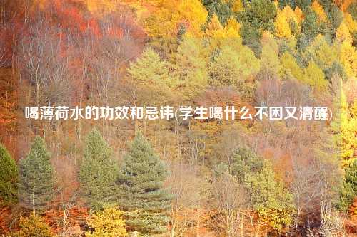喝薄荷水的功效和忌讳(学生喝什么不困又清醒)