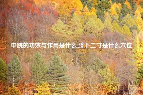中脘的功效与作用是什么,脐下三寸是什么穴位