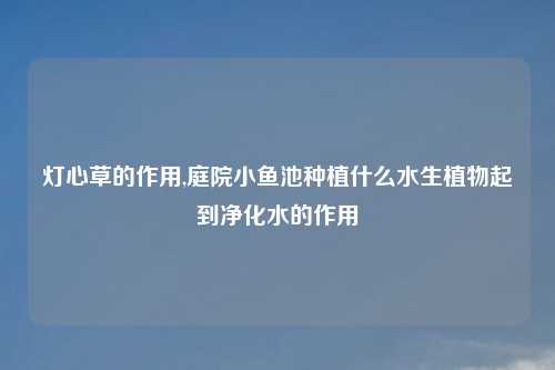 灯心草的作用,庭院小鱼池种植什么水生植物起到净化水的作用