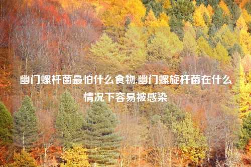 幽门螺杆菌最怕什么食物,幽门螺旋杆菌在什么情况下容易被感染