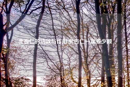 北杏仁的功效与作用,北杏仁一次多少颗