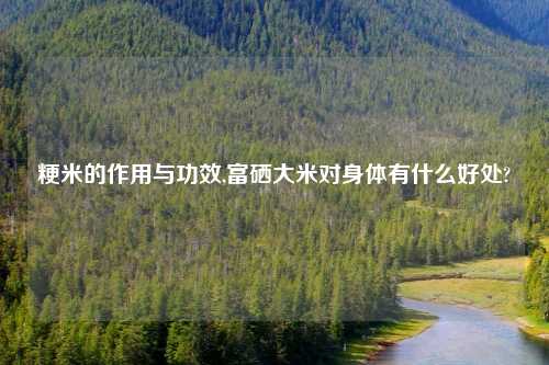 粳米的作用与功效,富硒大米对身体有什么好处?