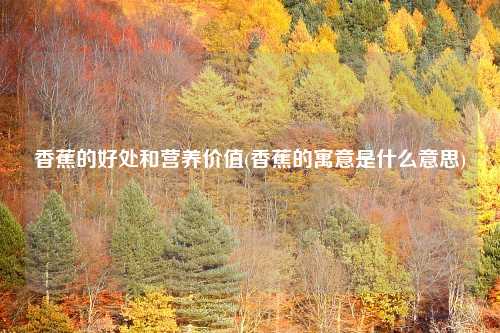 香蕉的好处和营养价值(香蕉的寓意是什么意思)