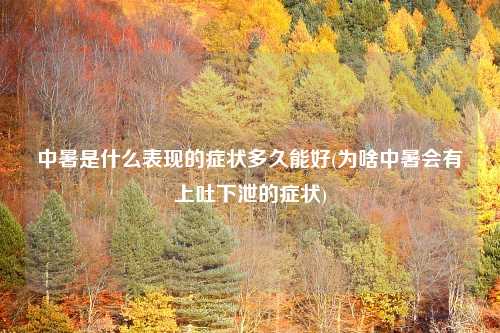 中暑是什么表现的症状多久能好(为啥中暑会有上吐下泄的症状)