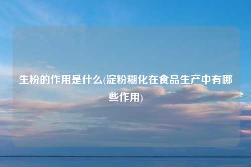 生粉的作用是什么(淀粉糊化在食品生产中有哪些作用)