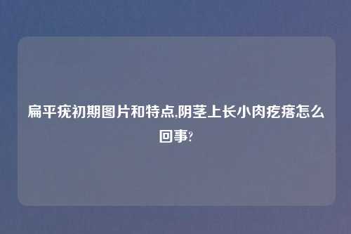 扁平疣初期图片和特点,阴茎上长小肉疙瘩怎么回事?