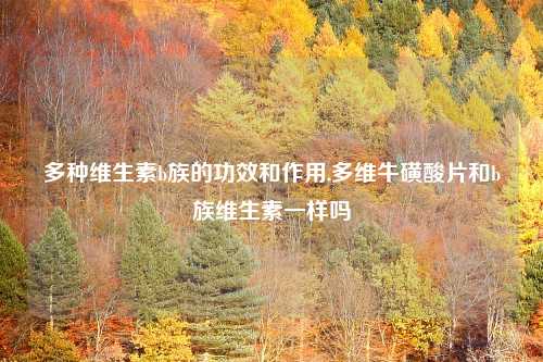 多种维生素b族的功效和作用,多维牛磺酸片和b族维生素一样吗