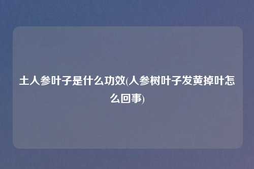 土人参叶子是什么功效(人参树叶子发黄掉叶怎么回事)