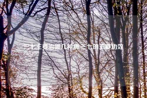 三七主要治哪几种病,三七的主要功效