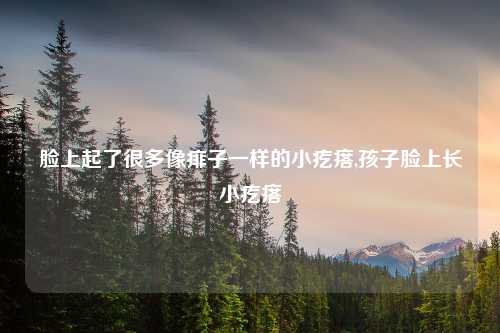脸上起了很多像痱子一样的小疙瘩,孩子脸上长小疙瘩