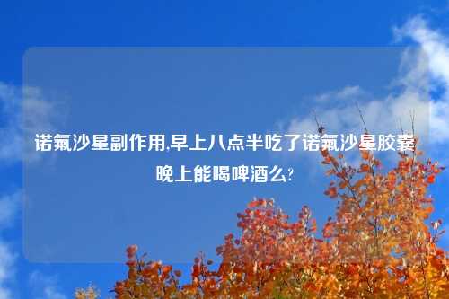 诺氟沙星副作用,早上八点半吃了诺氟沙星胶囊晚上能喝啤酒么?