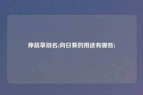 伸筋草别名(向日葵的用途有哪些)